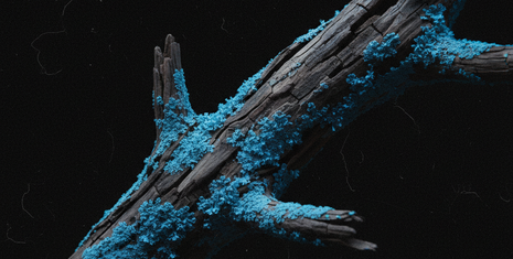 Lead gen : de l'acquisition de clics au "context feeding"